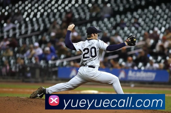 App Interface Preview